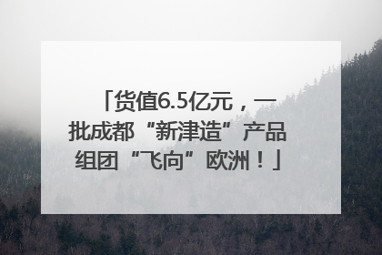 货值6.5亿元，一批成都“新津造”产品组团“飞向”欧洲！