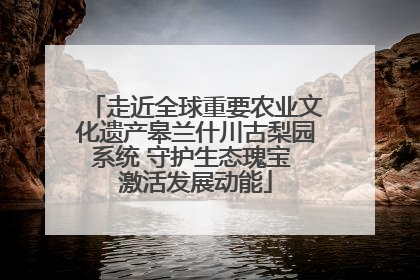 走近全球重要农业文化遗产皋兰什川古梨园系统 守护生态瑰宝 激活发展动能