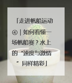 走进帆船运动④｜如何看懂一场帆船赛？水上的“速度与激情”同样精彩
