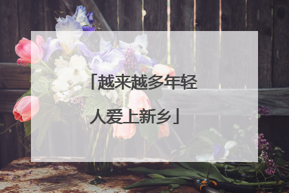 越来越多年轻人爱上新乡