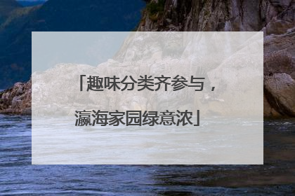 趣味分类齐参与，瀛海家园绿意浓