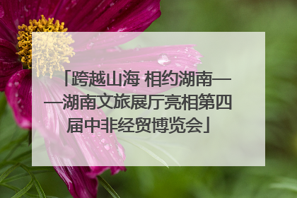 跨越山海 相约湖南——湖南文旅展厅亮相第四届中非经贸博览会