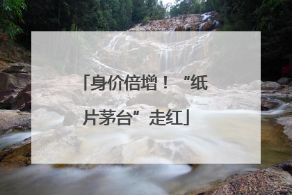 身价倍增！“纸片茅台”走红