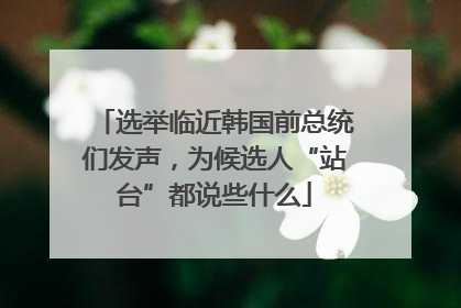 选举临近韩国前总统们发声，为候选人“站台”都说些什么
