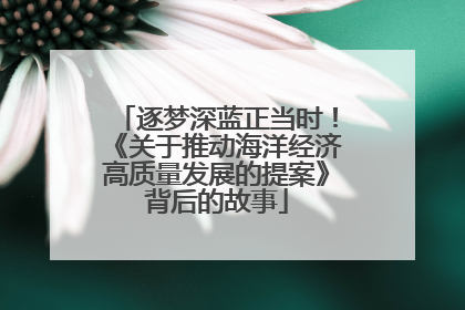 逐梦深蓝正当时！《关于推动海洋经济高质量发展的提案》背后的故事