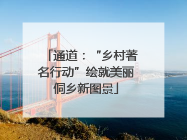通道：“乡村著名行动”绘就美丽侗乡新图景