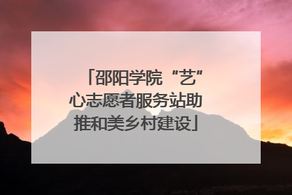 邵阳学院“艺”心志愿者服务站助推和美乡村建设