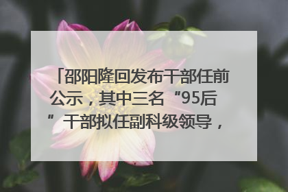 邵阳隆回发布干部任前公示，其中三名“95后”干部拟任副科级领导，均系硕士选调生