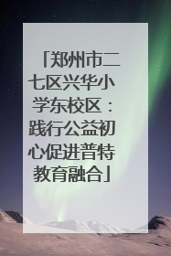郑州市二七区兴华小学东校区：践行公益初心促进普特教育融合