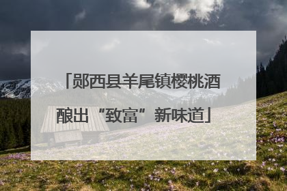 郧西县羊尾镇樱桃酒酿出“致富”新味道