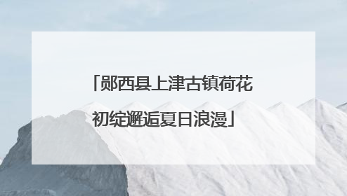 郧西县上津古镇荷花初绽邂逅夏日浪漫
