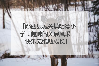 郧西县城关镇明德小学：趣味闯关展风采 快乐无纸助成长