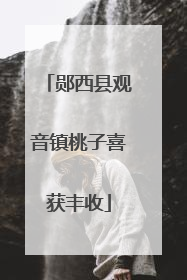 郧西县观音镇桃子喜获丰收