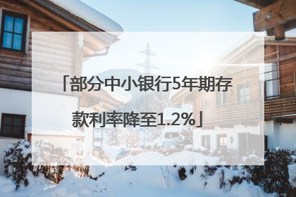 部分中小银行5年期存款利率降至1.2%