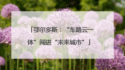 鄂尔多斯：“车路云一体”闯进“未来城市”