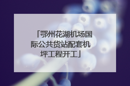 鄂州花湖机场国际公共货站配套机坪工程开工