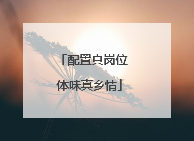 配置真岗位 体味真乡情