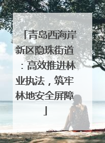 青岛西海岸新区隐珠街道：高效推进林业执法，筑牢林地安全屏障