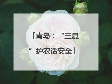 青岛：“三夏”护农话安全
