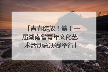 青春绽放！第十一届湖南省青年文化艺术活动总决赛举行