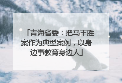 青海省委：把马丰胜案作为典型案例，以身边事教育身边人
