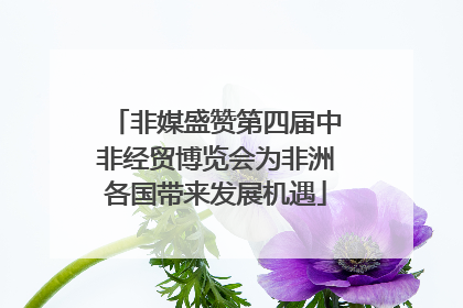 非媒盛赞第四届中非经贸博览会为非洲各国带来发展机遇