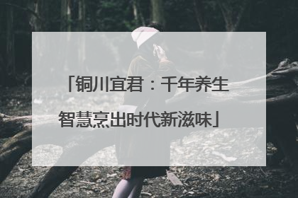 铜川宜君：千年养生智慧烹出时代新滋味