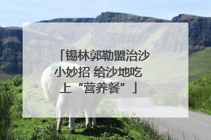 锡林郭勒盟治沙小妙招 给沙地吃上“营养餐”