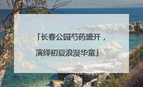 长春公园芍药盛开，演绎初夏浪漫华章