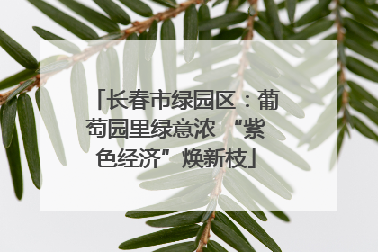 长春市绿园区：葡萄园里绿意浓 “紫色经济”焕新枝