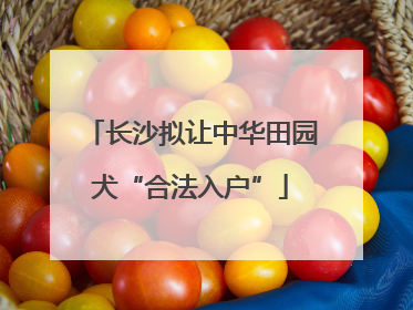 长沙拟让中华田园犬“合法入户”