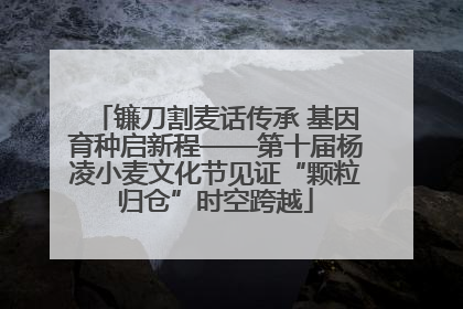 镰刀割麦话传承 基因育种启新程——第十届杨凌小麦文化节见证“颗粒归仓”时空跨越