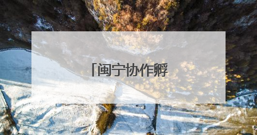 闽宁协作孵“金”蛋