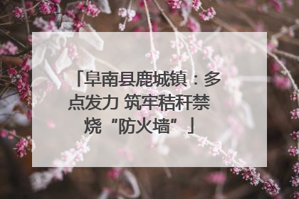 阜南县鹿城镇：多点发力 筑牢秸秆禁烧“防火墙”