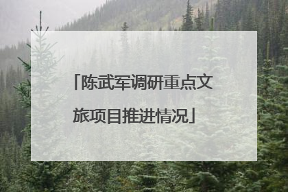 陈武军调研重点文旅项目推进情况