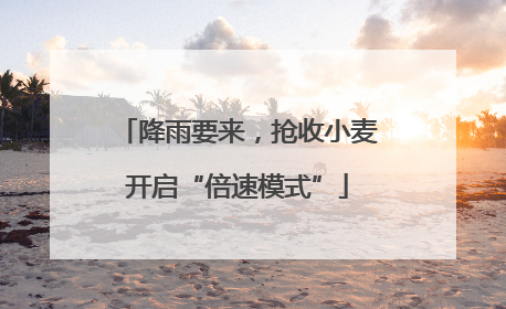 降雨要来，抢收小麦开启“倍速模式”