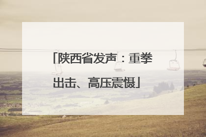 陕西省发声：重拳出击、高压震慑