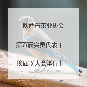 陕西省茶业协会第五届会员代表（换届）大会举行