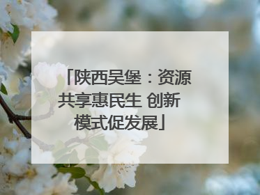 陕西吴堡：资源共享惠民生 创新模式促发展