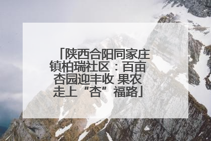 陕西合阳同家庄镇柏瑞社区：百亩杏园迎丰收 果农走上“杏”福路
