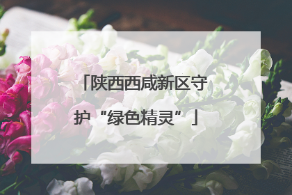 陕西西咸新区守护“绿色精灵”