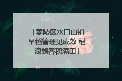 零陵区水口山镇：早稻管理见成效 稻浪飘香穗满田