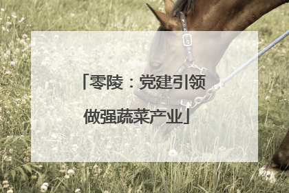 零陵：党建引领 做强蔬菜产业