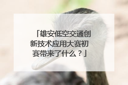 雄安低空交通创新技术应用大赛初赛带来了什么？