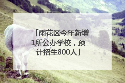 雨花区今年新增1所公办学校，预计招生800人