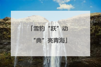 雪豹“跃”动 “典”亮青海