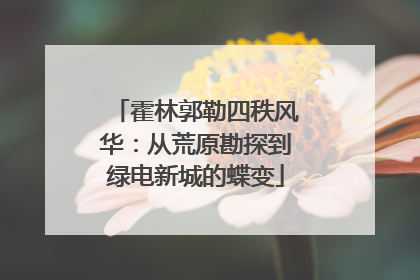 霍林郭勒四秩风华：从荒原勘探到绿电新城的蝶变