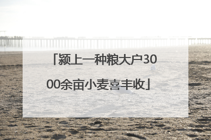 颍上一种粮大户3000余亩小麦喜丰收
