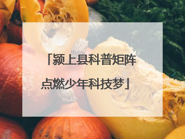 颍上县科普矩阵点燃少年科技梦