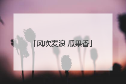 风吹麦浪 瓜果香